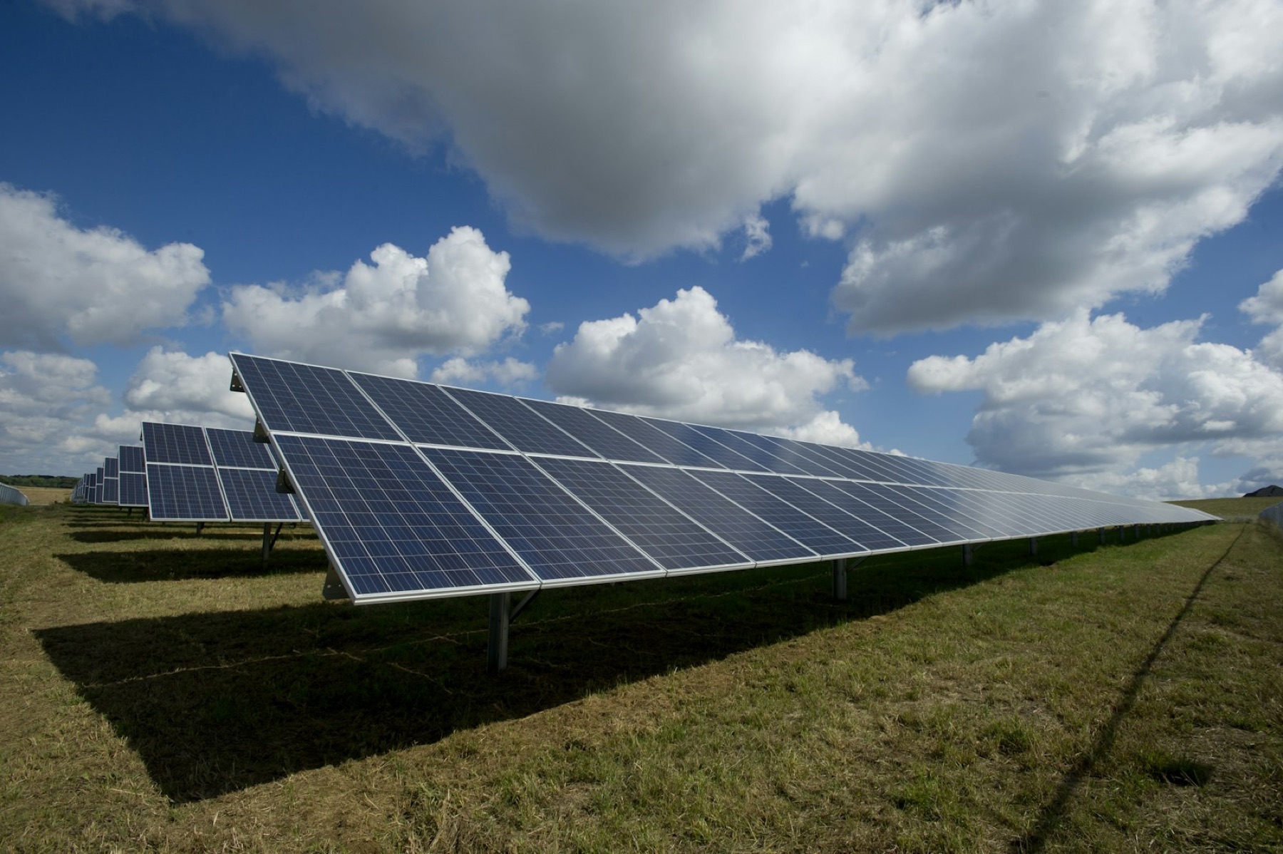 Solar panels in a renewable energy field